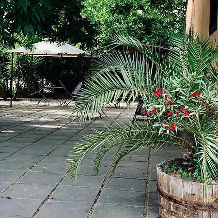 Il Giardino Delle Zagare Alloggio per agriturismo Calatabiano